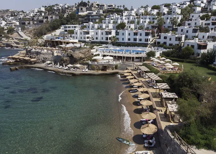 Yaz יאליקאבאק