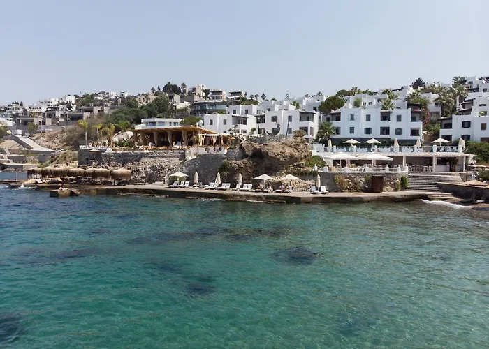 Yaz יאליקאבאק