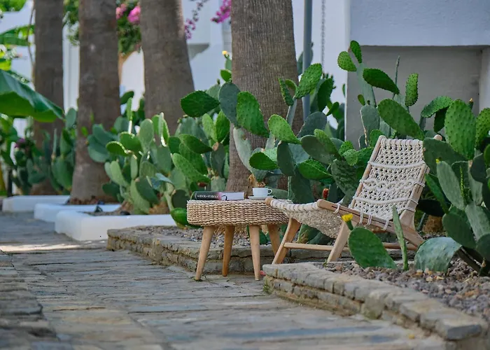 Yaz 2* יאליקאבאק