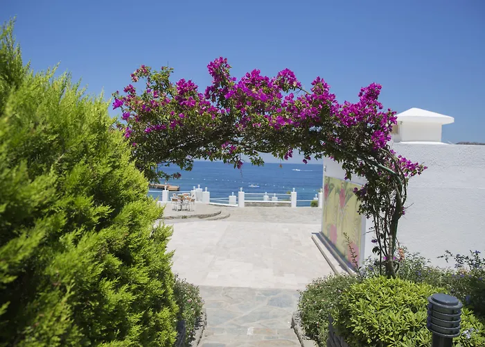 Yaz Яликовак