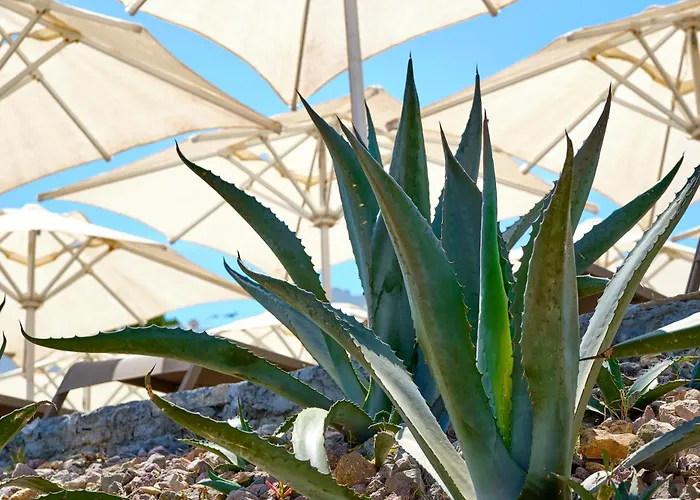 Yaz Яликовак